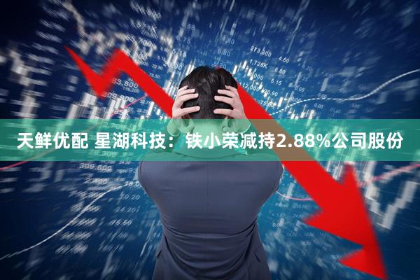 天鲜优配 星湖科技：铁小荣减持2.88%公司股份