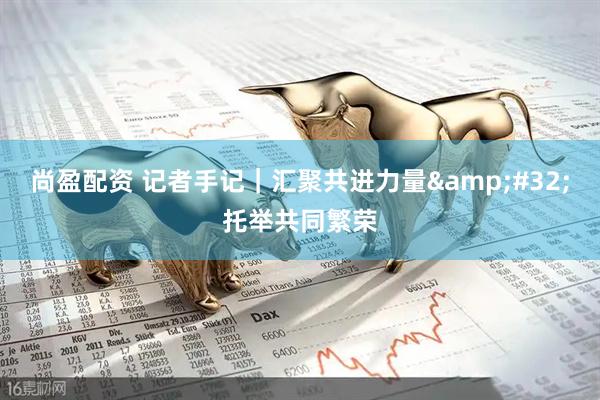 尚盈配资 记者手记｜汇聚共进力量&#32;托举共同繁荣