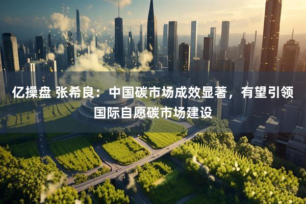 亿操盘 张希良：中国碳市场成效显著，有望引领国际自愿碳市场建设