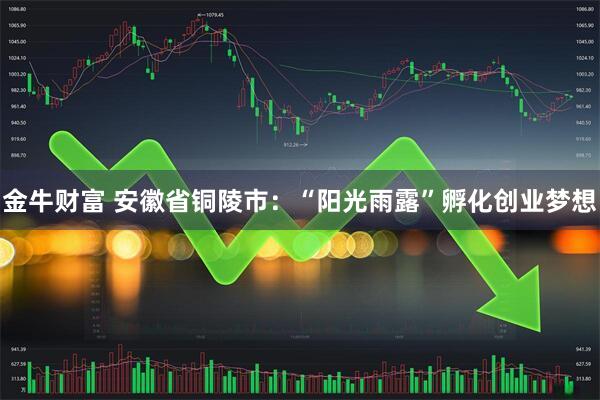 金牛财富 安徽省铜陵市：“阳光雨露”孵化创业梦想
